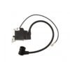 3800 38CC Chinese Chainsaw Ignition Coil