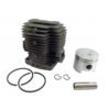 KAWASAKI TH48 44mm Cylinder & Piston Kit