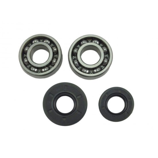4500 5200 5800 Chinese Chainsaw 2x Crankshaft Bearing & Oil Seal