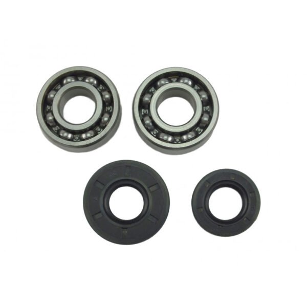 4500 5200 5800 Chinese Chainsaw 2x Crankshaft Bearing & Oil Seal