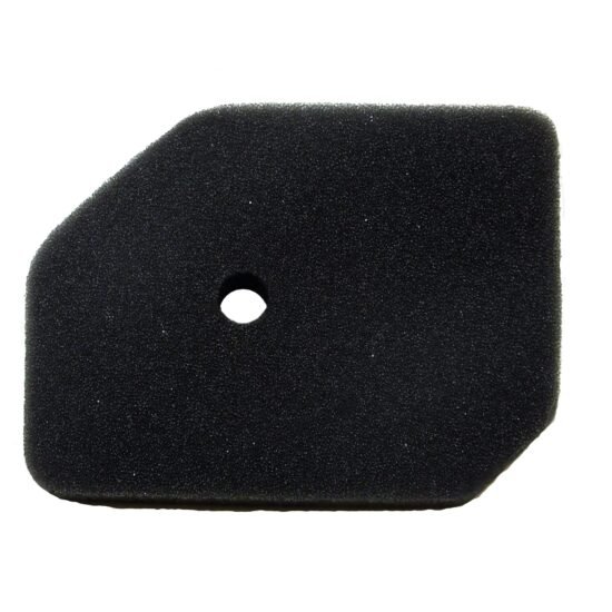 HONDA G100 HR17 Air Filter