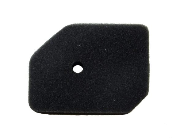 HONDA G100 HR17 Air Filter