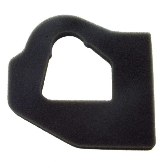 EFCO OLEO-MAC BC22 BC220 DS220 DS2200 Air Filter